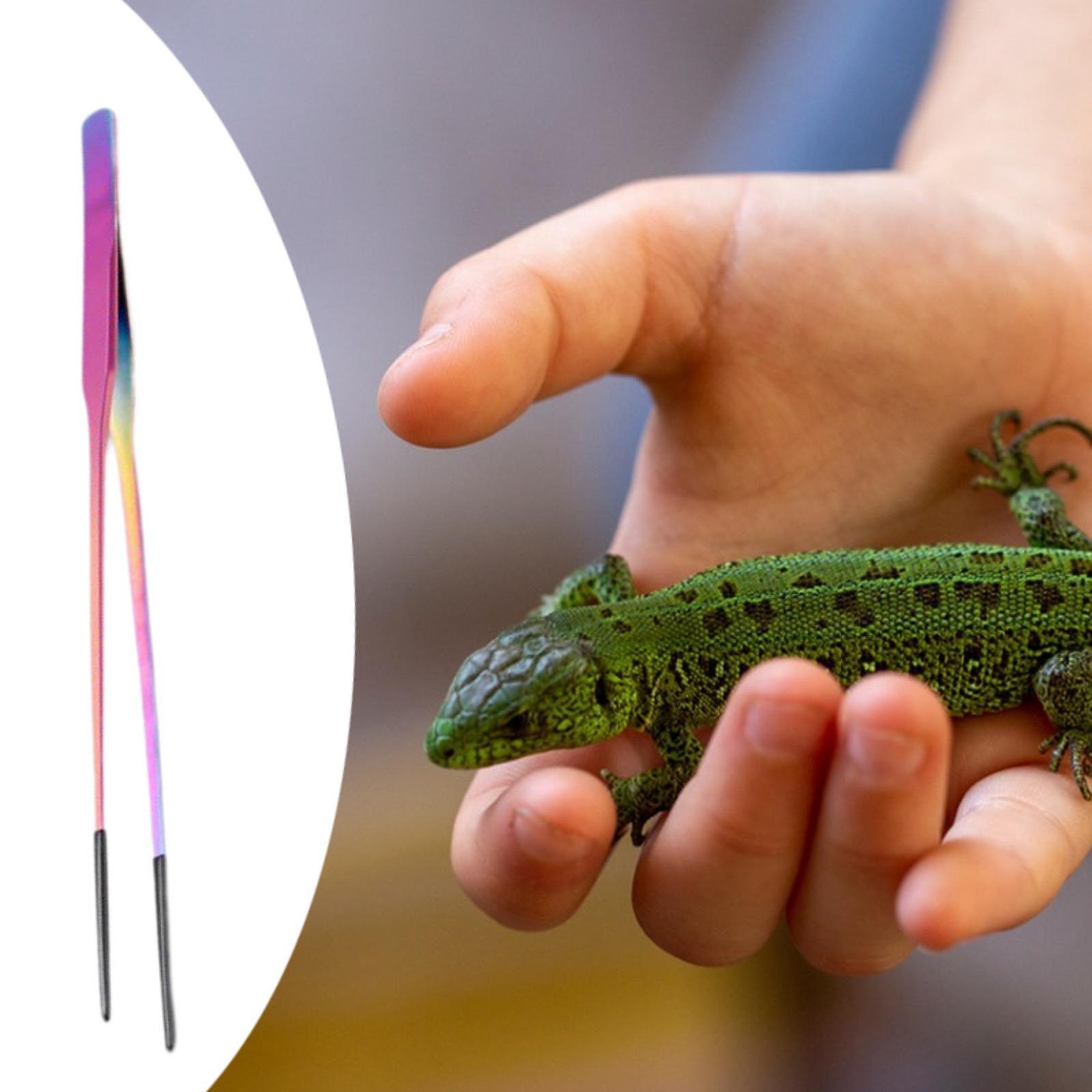 Planted Aquarium Tips - Reptilien-Fütterungszange mit Weicher Spitze, Pflanzpinzette für