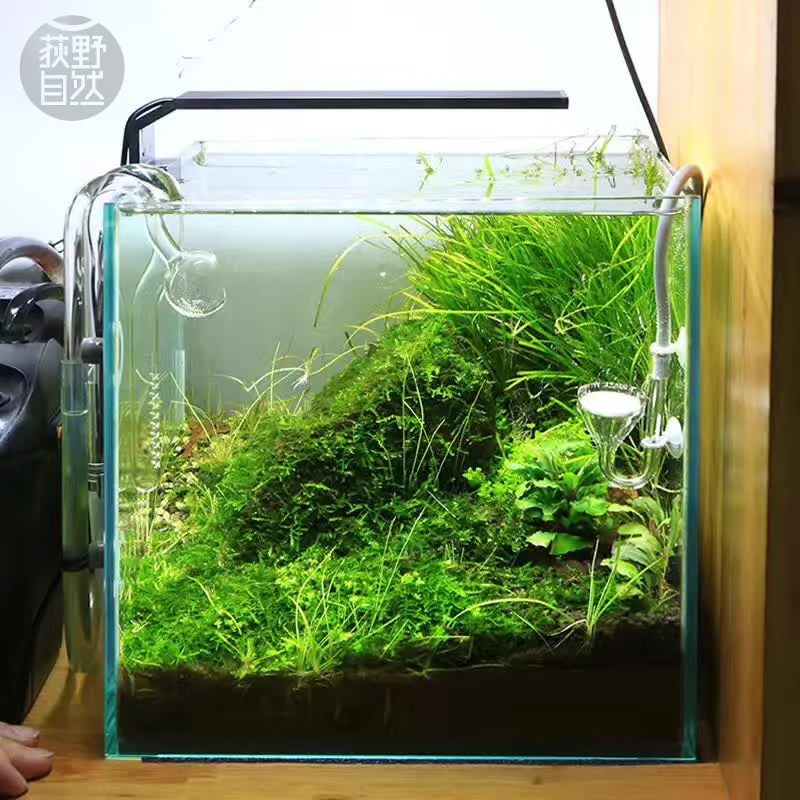 Planted Aquarium Ada - Spirituosen C-Serie ADA-Stil Pflanze wachsen LED-Licht