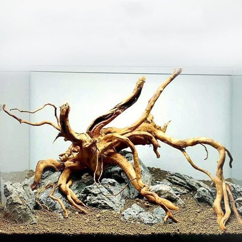Planted Aquarium With Driftwood - 20-25CM Großes Aquarium-Treibholz, Natürliche Fischbecken-Pflanzendekoration, Baumstumpf