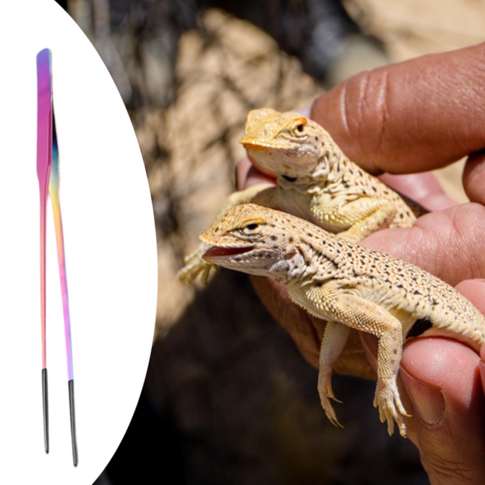 Planted Aquarium Tips - Reptilien-Futterzange mit Silikonspitze, lange Aquarium-Pinzette, Pflanzenklemme