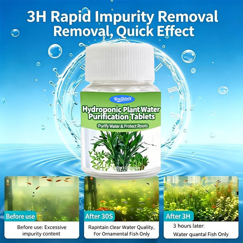 Hydroponische Wasserreinigungs – Aquarium Plant In Pot Bewertung und Preis