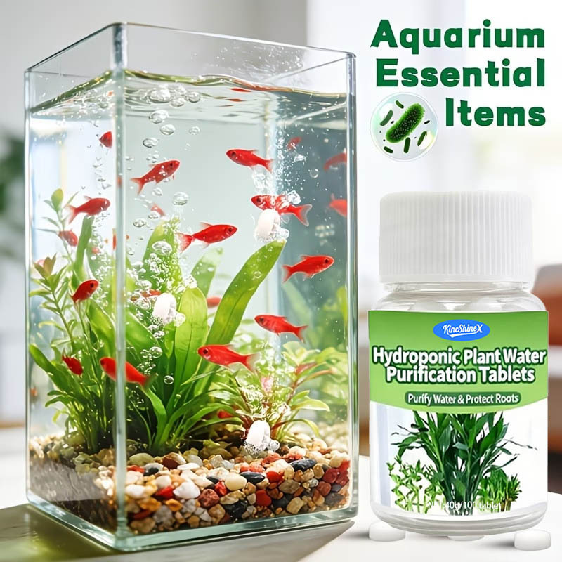 Hydroponische Wasserreinigungs – Aquarium Plant In Pot Bewertung und Preis