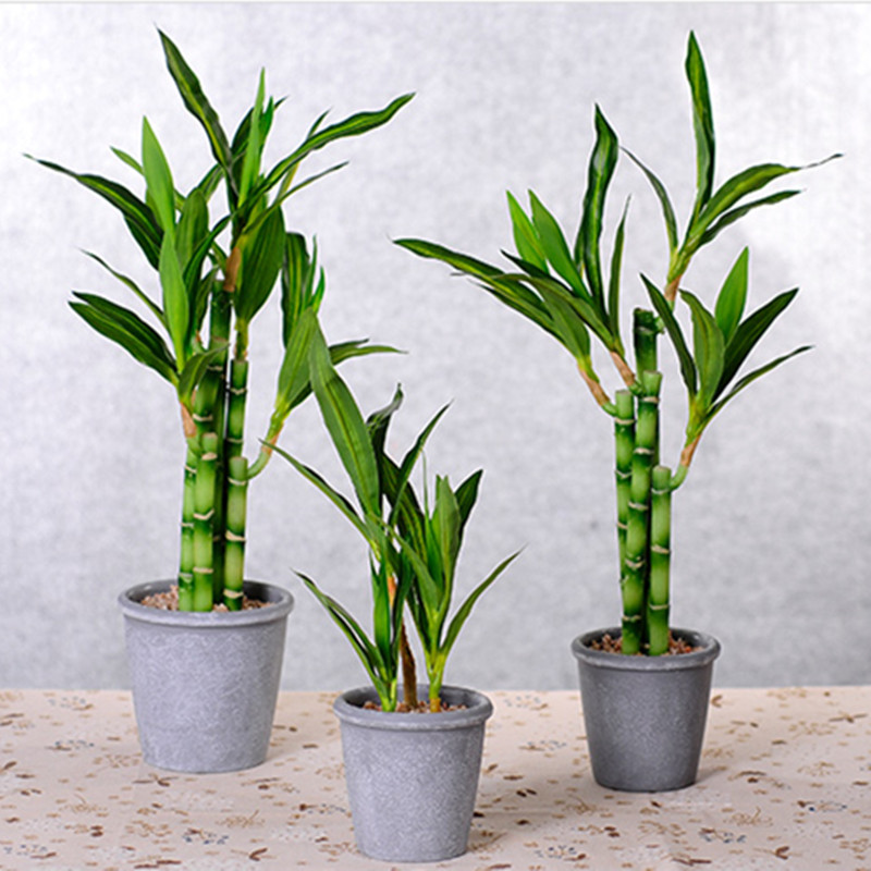 Neue 40cm Künstliche Glücksbam – Aquarium Plant In Pot Bewertung und Preis