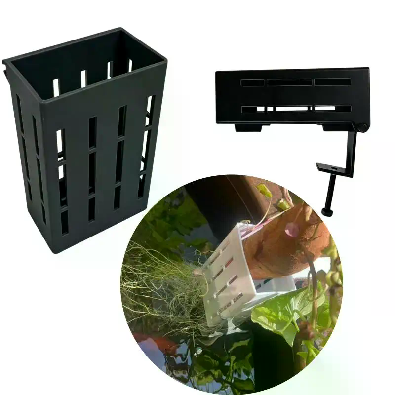 1 Stück Hydroponischer Stützko – Aquarium Plant In Pot Bewertung und Preis