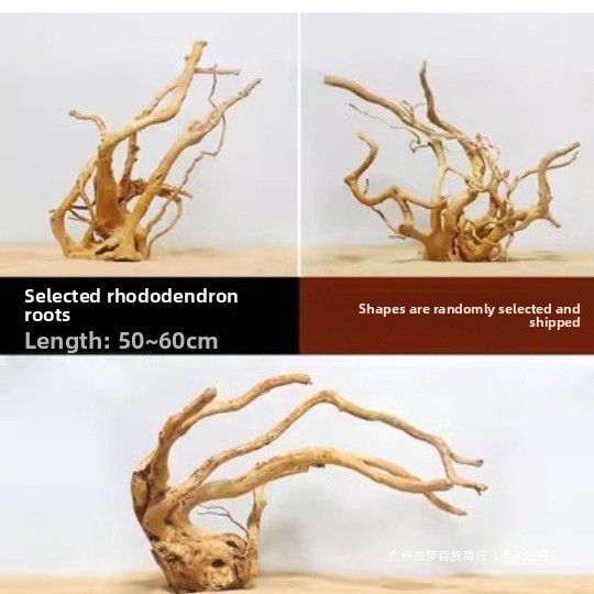 Natürliche Treibholzäste für d – Planted Aquarium With Driftwood Bewertung und Preis