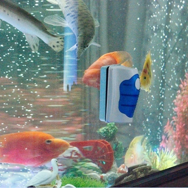 Aquarium Glas Schaber Reiniger – Planted Aquarium Cleaning Bewertung und Preis