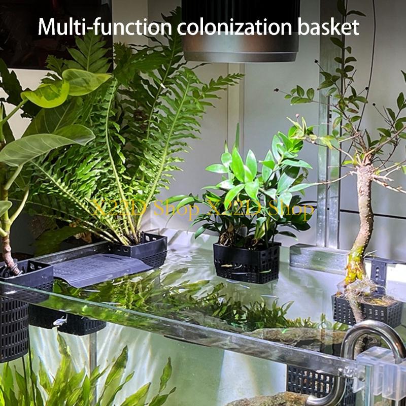 X22D Moderner vertikaler Pflan – Aquarium Plant In Pot Bewertung und Preis