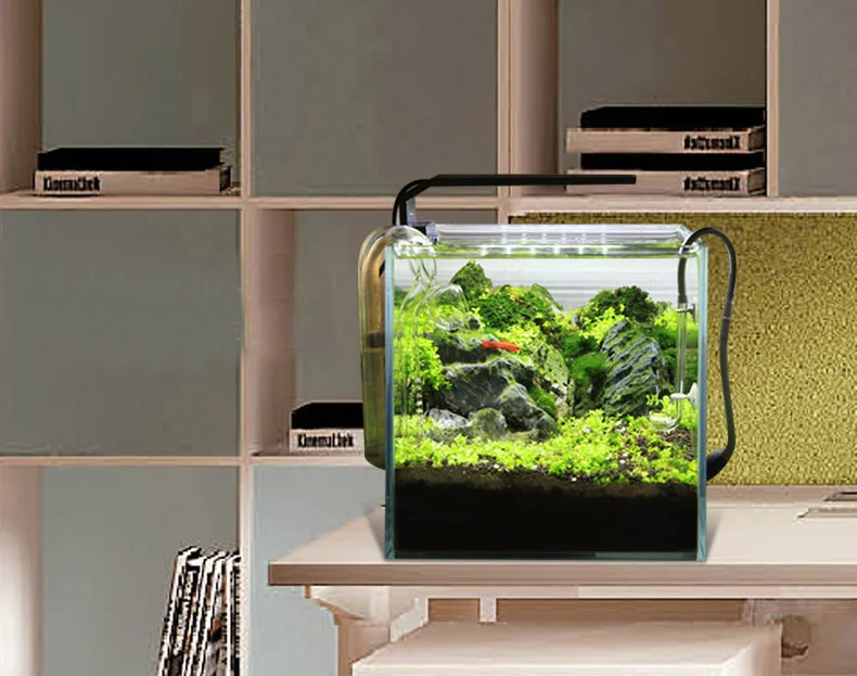 Spirituosen C-Serie ADA-Stil P – Planted Aquarium Ada Bewertung und Preis