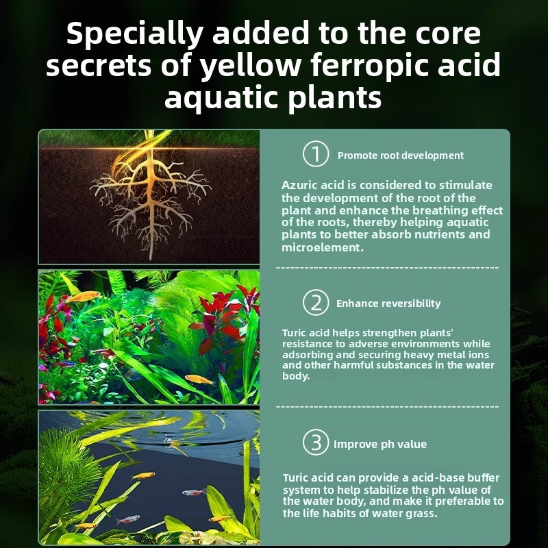 Aquarium-Pflanzendünger – Komp – Planted Aquarium Carpet Plant Bewertung und Preis