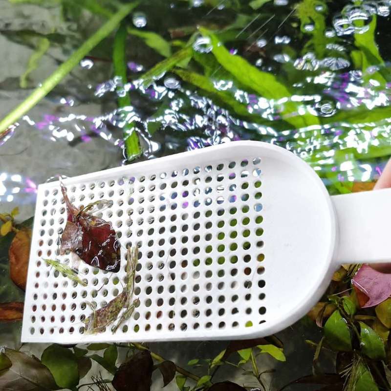 Aquarium-Fischbecken-Schmutzsc – Planted Aquarium Cleaning Bewertung und Preis