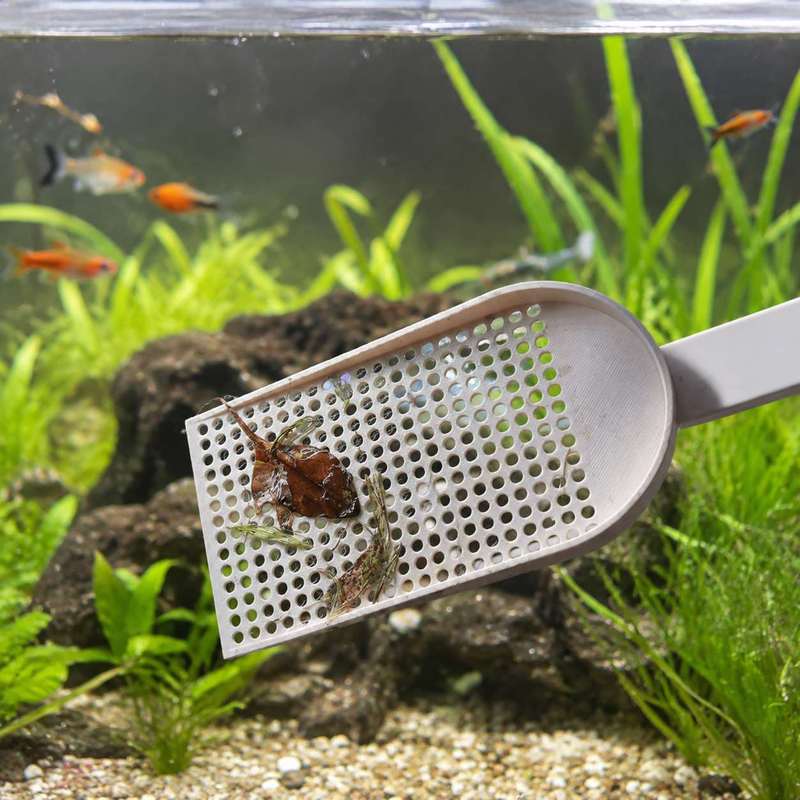 Aquarium-Fischbecken-Schmutzsc – Planted Aquarium Cleaning Bewertung und Preis