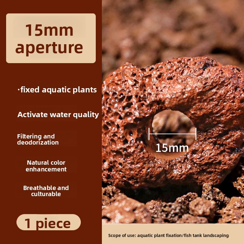 Aquarium CO2 Diffusor Aquarium – Aquarium Plant In Pot Bewertung und Preis