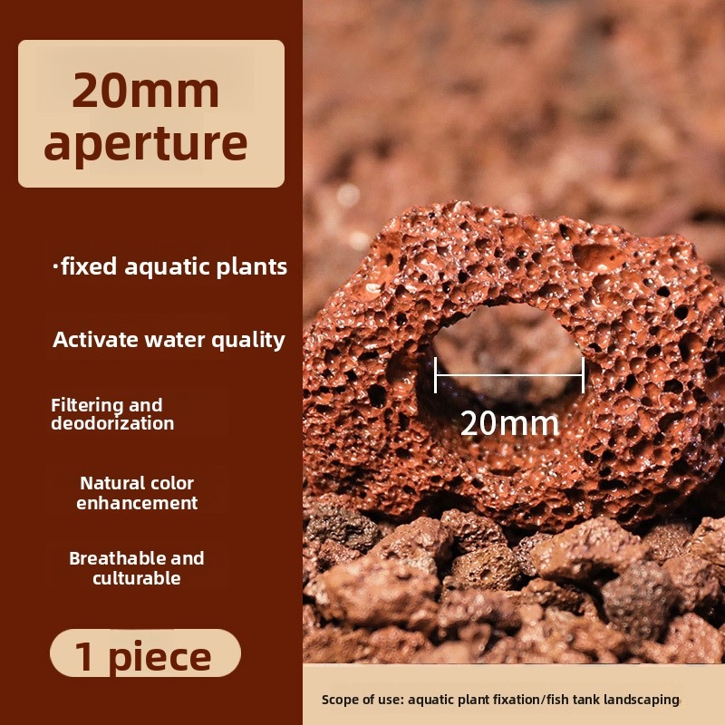 Aquarium CO2 Diffusor Aquarium – Aquarium Plant In Pot Bewertung und Preis