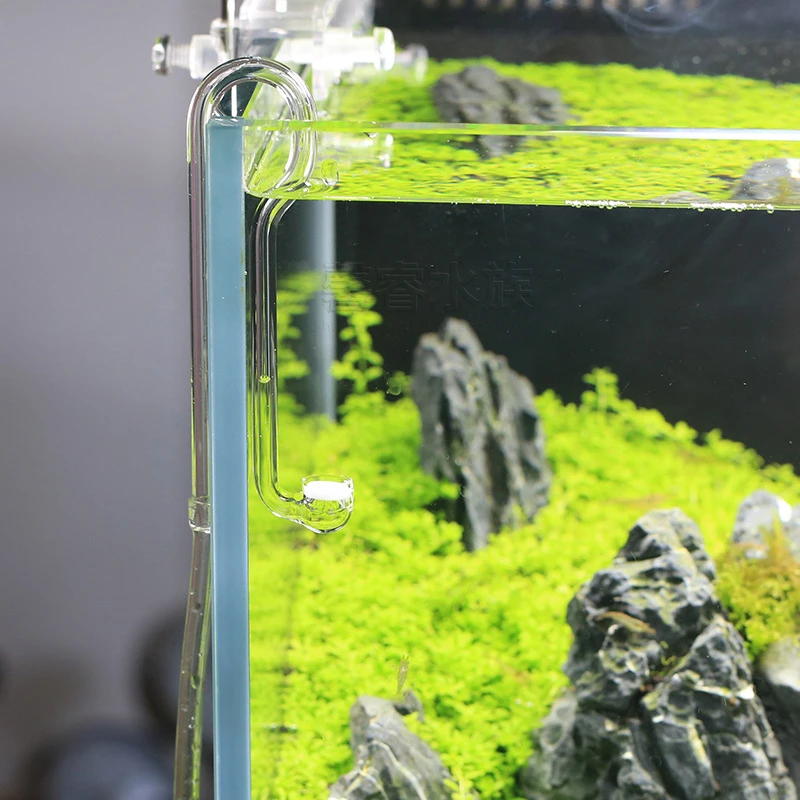 VIV BETTER LIFE CO2-System Dif – Planted Aquarium Ada Bewertung und Preis