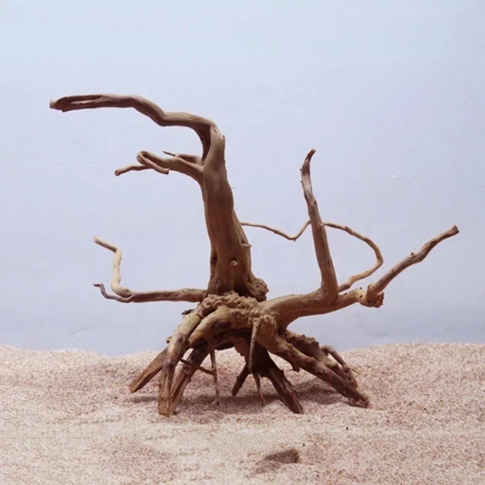 Natürlicher Baumstamm Treibhol – Planted Aquarium With Driftwood Bewertung und Preis