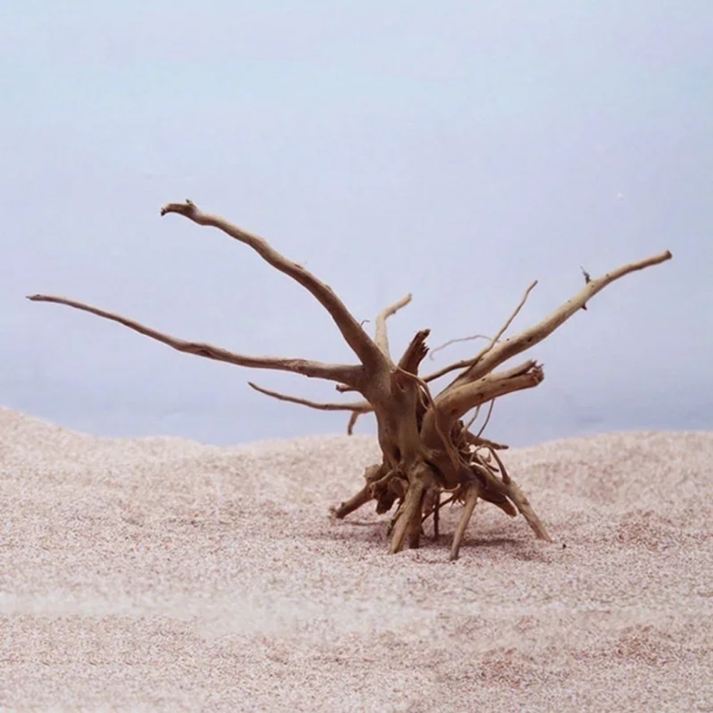 Natürlicher Baumstamm Treibhol – Planted Aquarium With Driftwood Bewertung und Preis