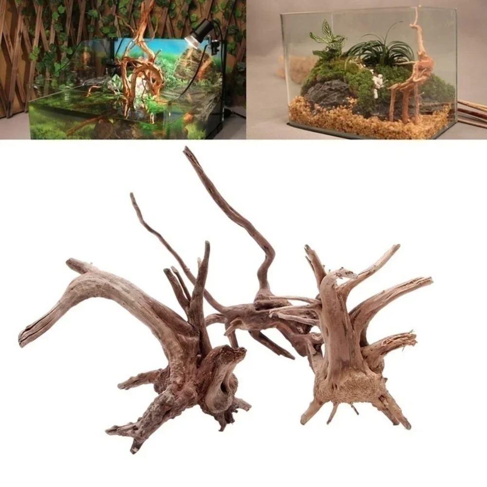 Natürlicher Baumstamm Treibhol – Planted Aquarium With Driftwood Bewertung und Preis