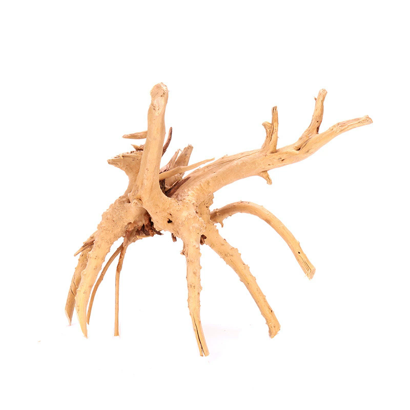 4 Stück Natürliche Holz-Aquari – Planted Aquarium With Driftwood Bewertung und Preis