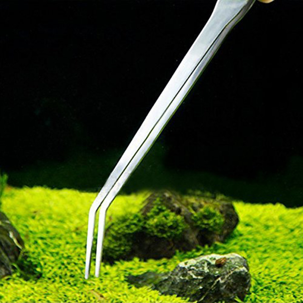 38 cm lange, gebogene Pinzette – Planted Aquarium Carpet Plant Bewertung und Preis