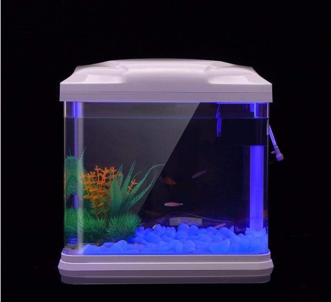 Aquarium-Felsen leuchten blaue – Aquarium Plant In Pot Bewertung und Preis