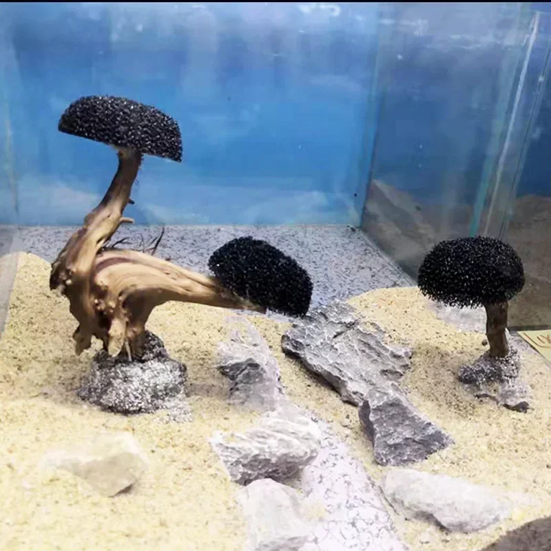 Aquarium-Pflanzen-Dekoration:  – Planted Aquarium With Driftwood Bewertung und Preis