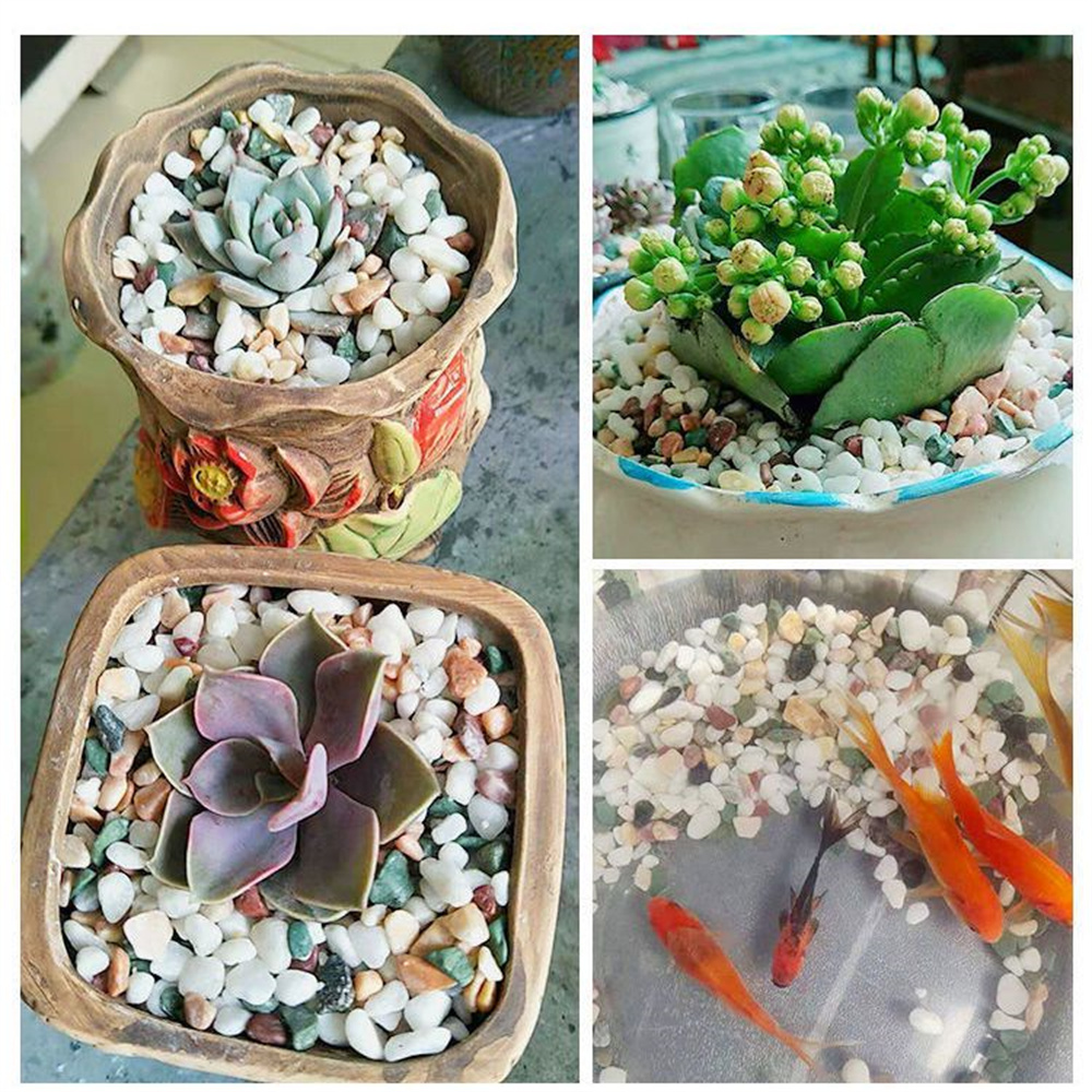 100g Natürlicher Kristallkies  – Planted Aquarium With Sand Bewertung und Preis
