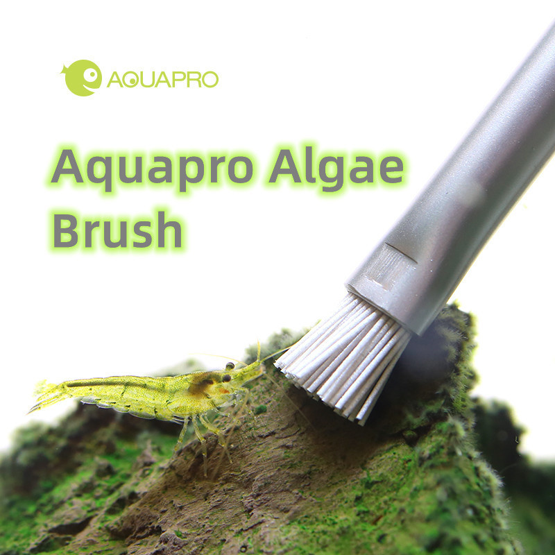 Aquapro Algen Pinsel Aquarium  – Planted Aquarium Ada Bewertung und Preis