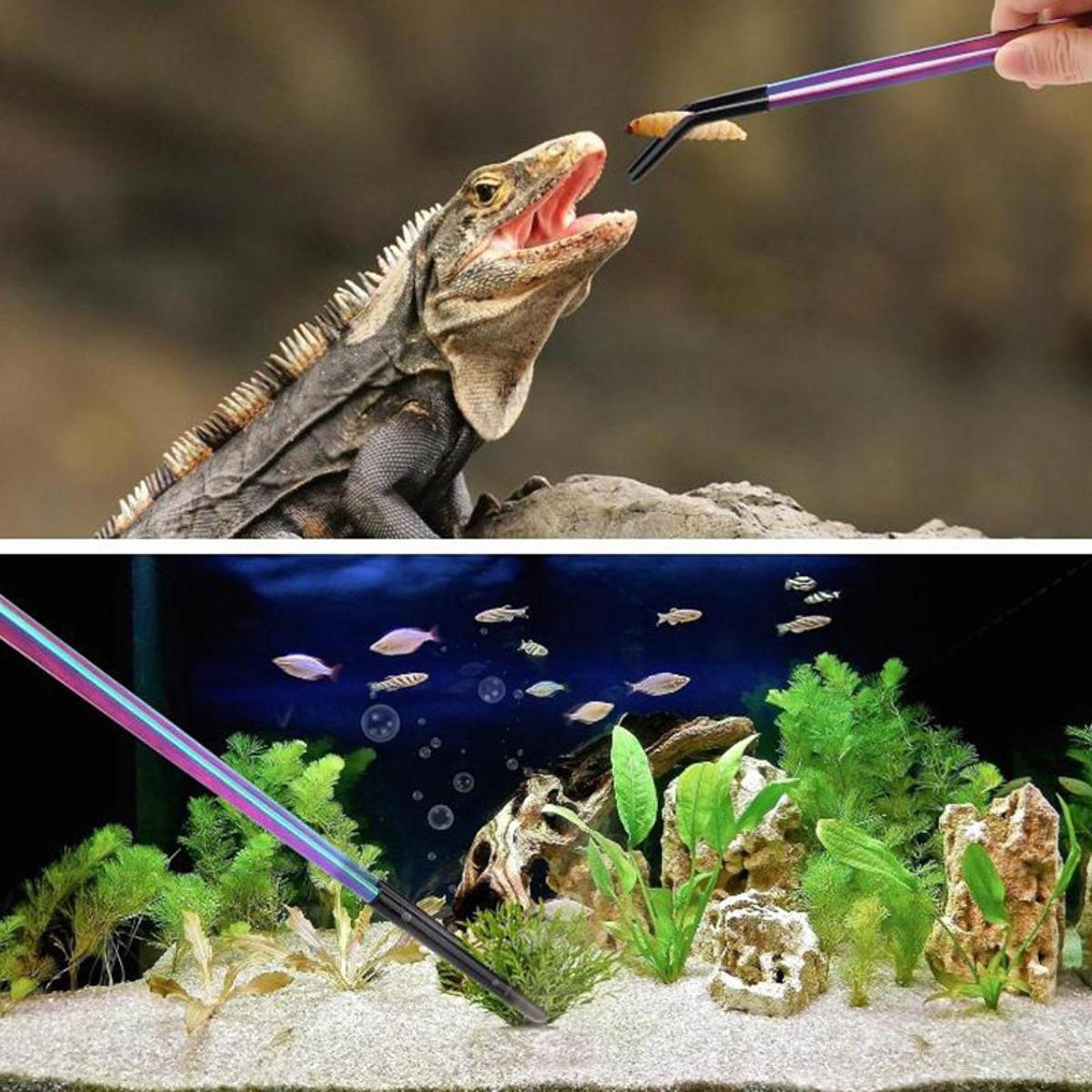 Reptilien-Futterzange mit Sili – Planted Aquarium Tips Bewertung und Preis