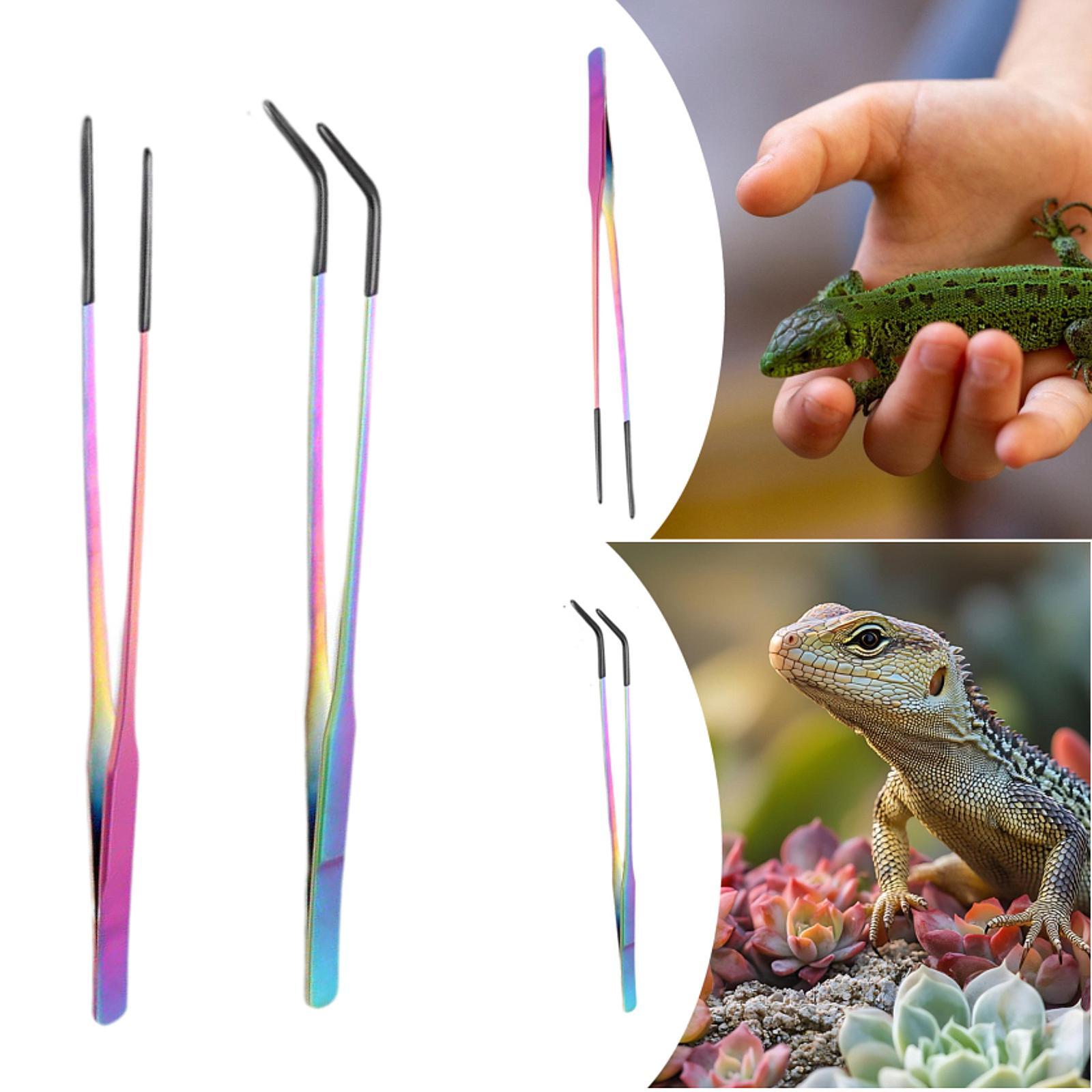 Reptilien-Futterzange mit Sili – Planted Aquarium Tips Bewertung und Preis