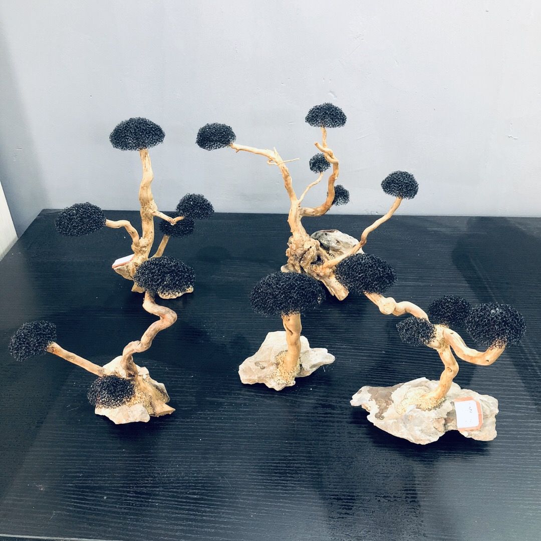 Aquarium Dekoration Moos Treib – Planted Aquarium With Driftwood Bewertung und Preis