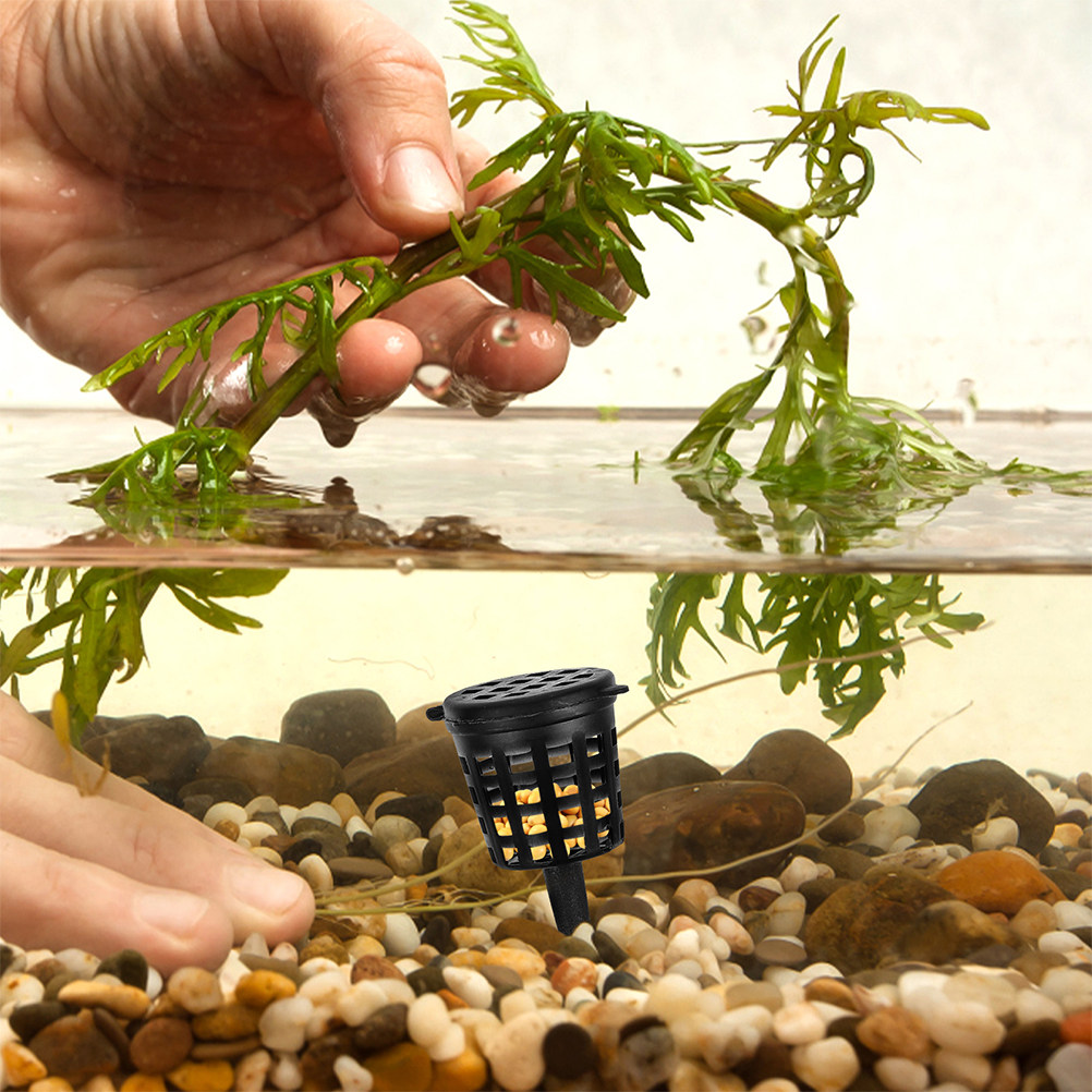 120 Stück Düngerkorb-Deckel, t – Planted Aquarium Fertilizer Bewertung und Preis