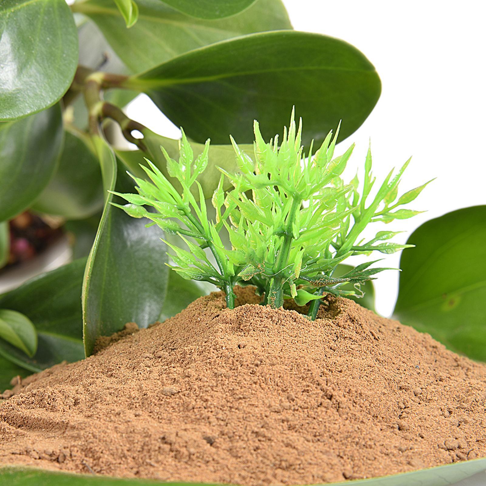 Aquatische Teichnährerde, Spez – Aquarium Plant Nutrients Bewertung und Preis